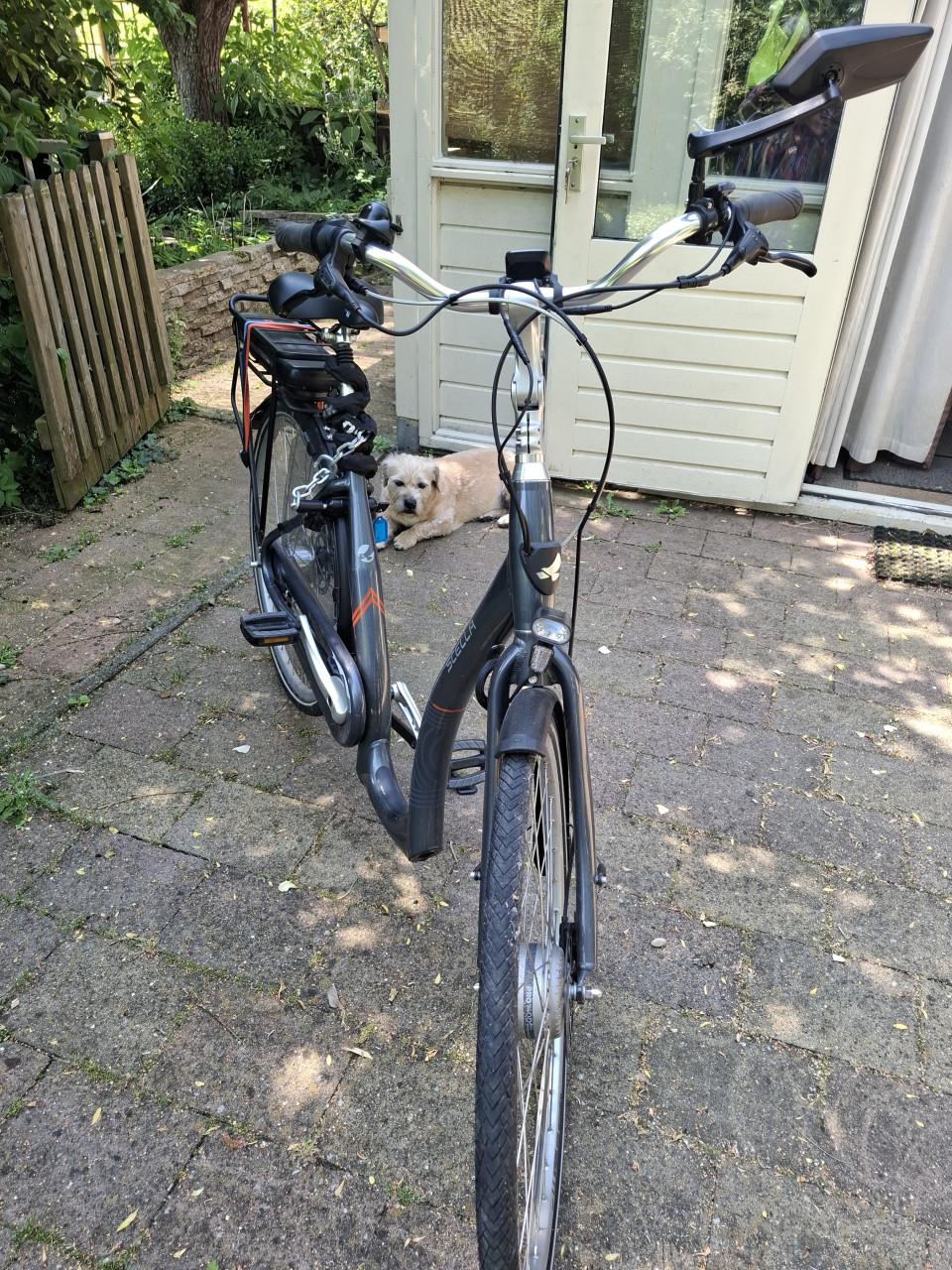 Electrische fiets