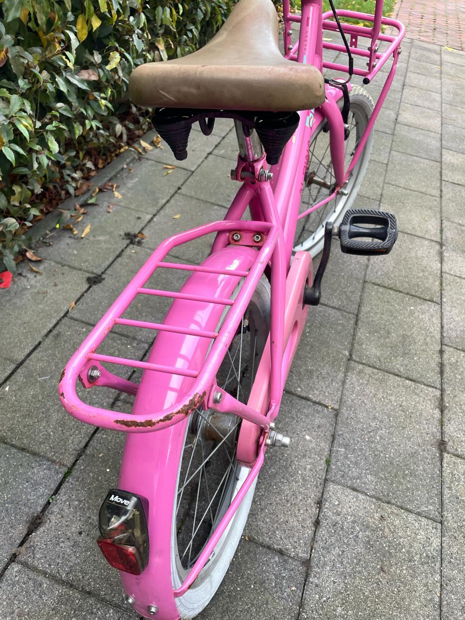 Meisjes fiets Alpina 18 inch