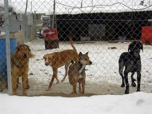 Supermooi kinderburo