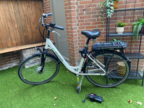 Elektrische damesfiets