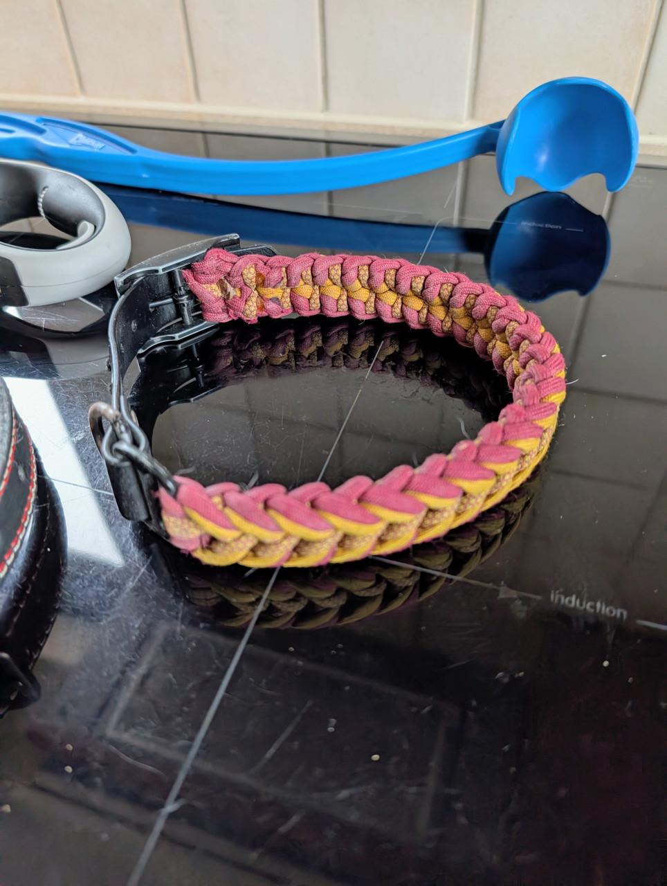 Honden benodigheden halsband, flexilijn, werpstok