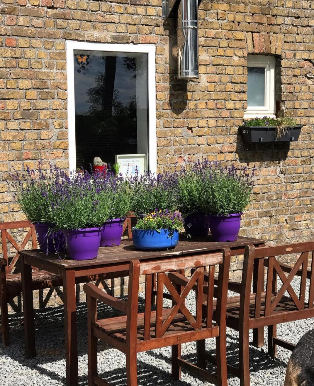 ACUPUNCTUUR & CHINESE KRUIDENTHERAPIE