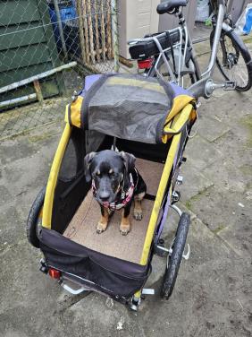 Honden fietskar