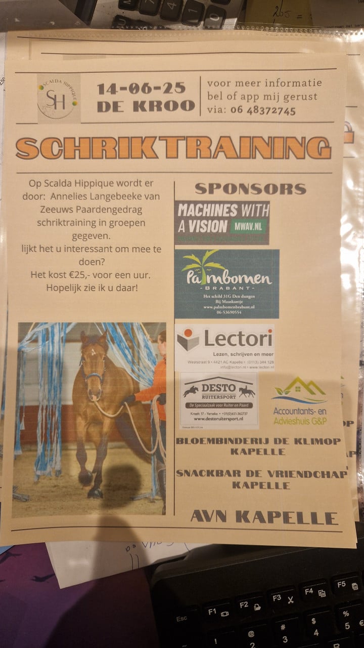 Schriktraining paard