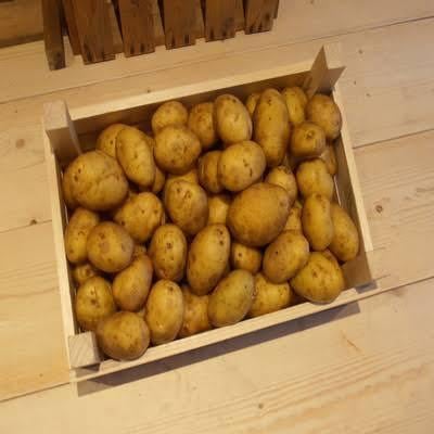 Pootaardappelen Gratis