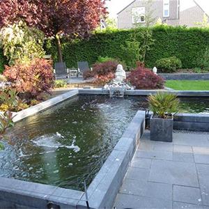 Superfish Pond Flow Eco 1000 fonteinpomp