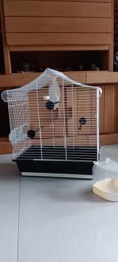 VOGELKOOI