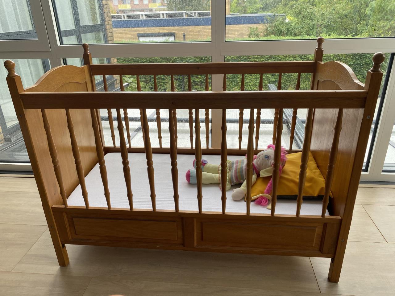 Kinderledikant