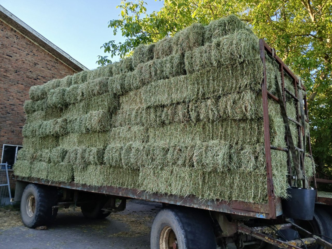Weidehooi hooi gras stro kleine baal