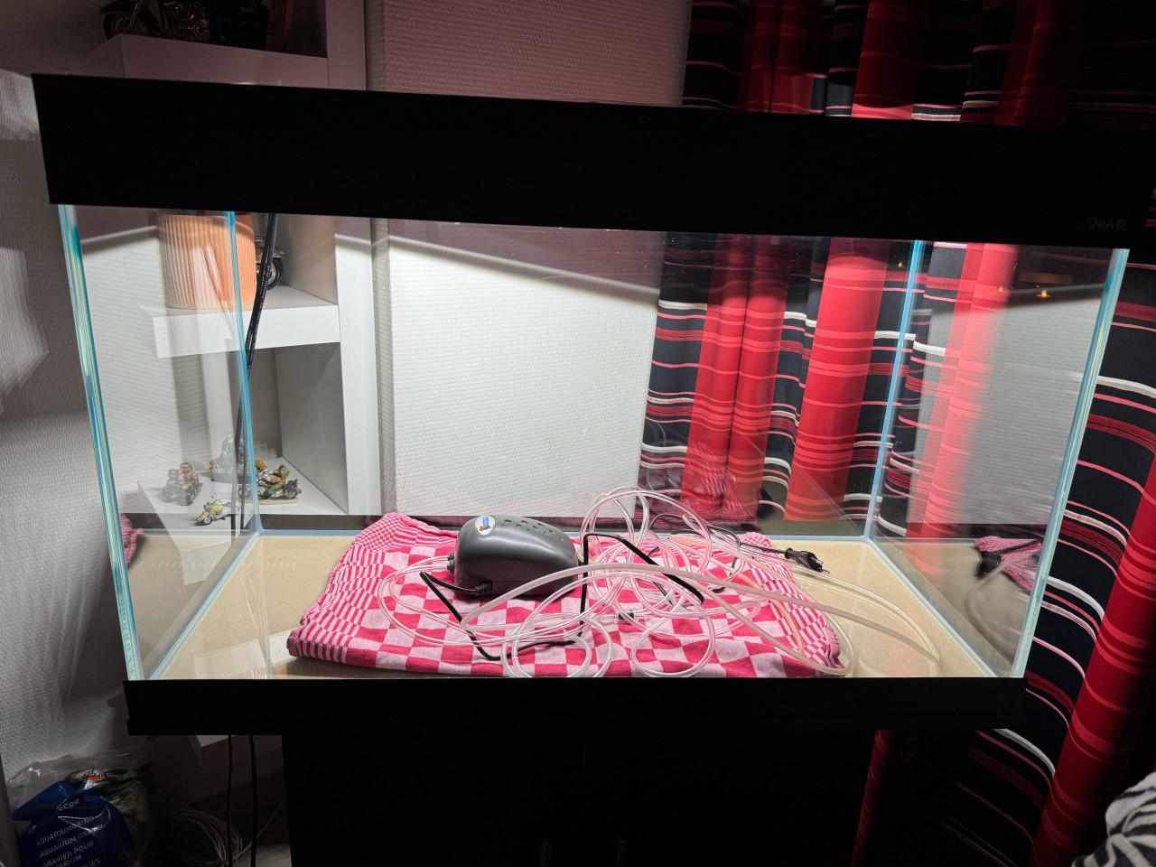 Aquarium en toebehoren