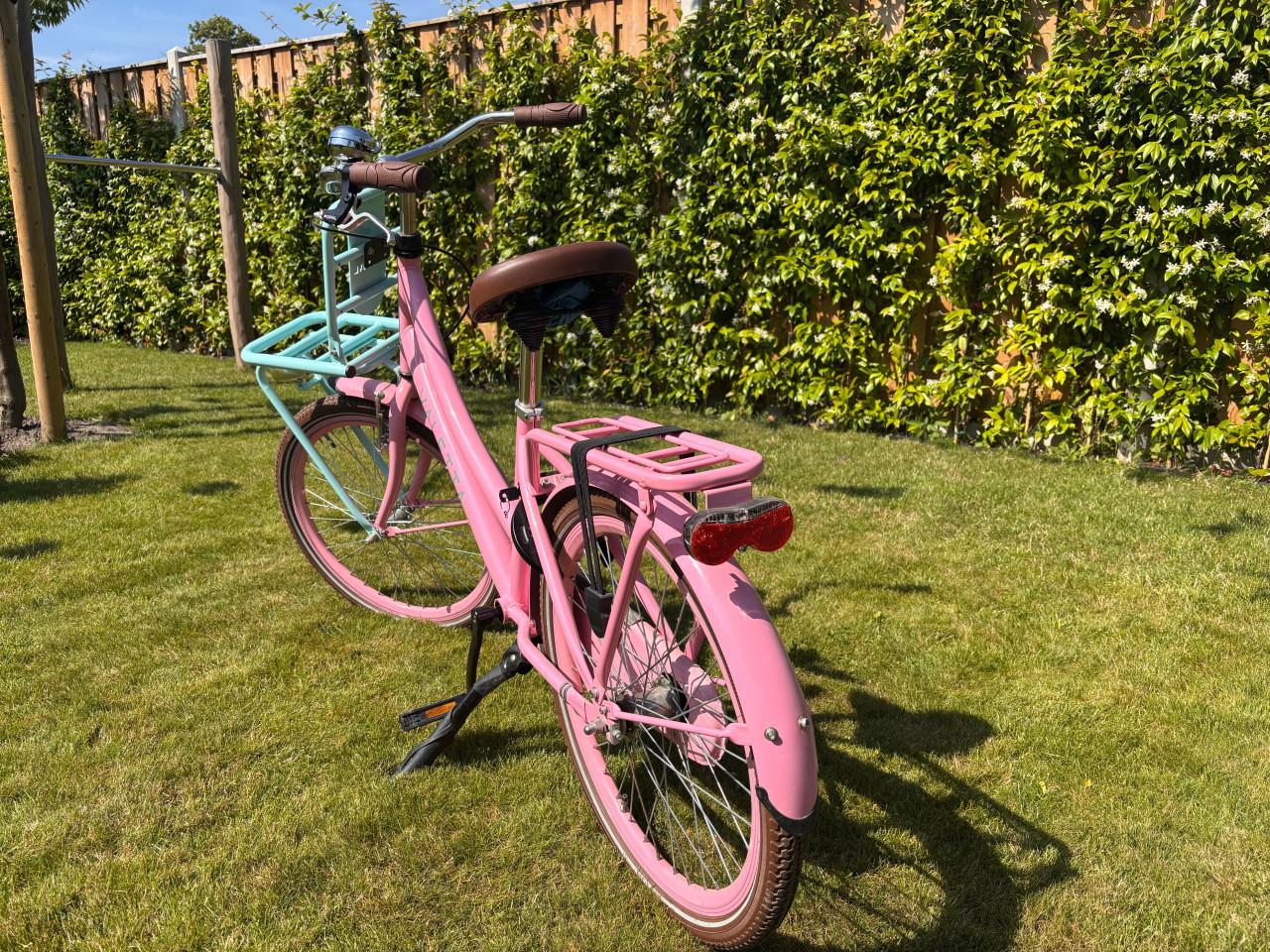 Roze Valetta kinderfiets met voordrager - 22 inch
