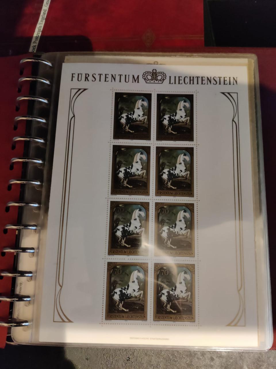 Klein mapje vol met blokken en specialiteiten Liechtenstein
