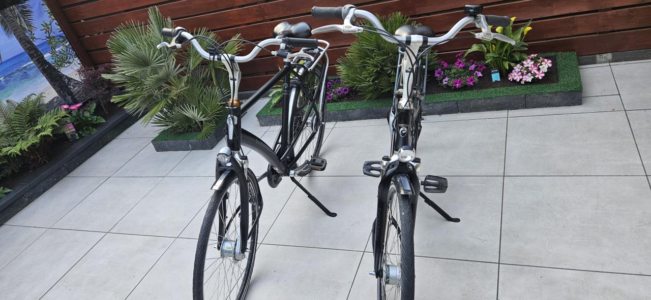 Batavus Mambo Herenfiets en Damesfiets