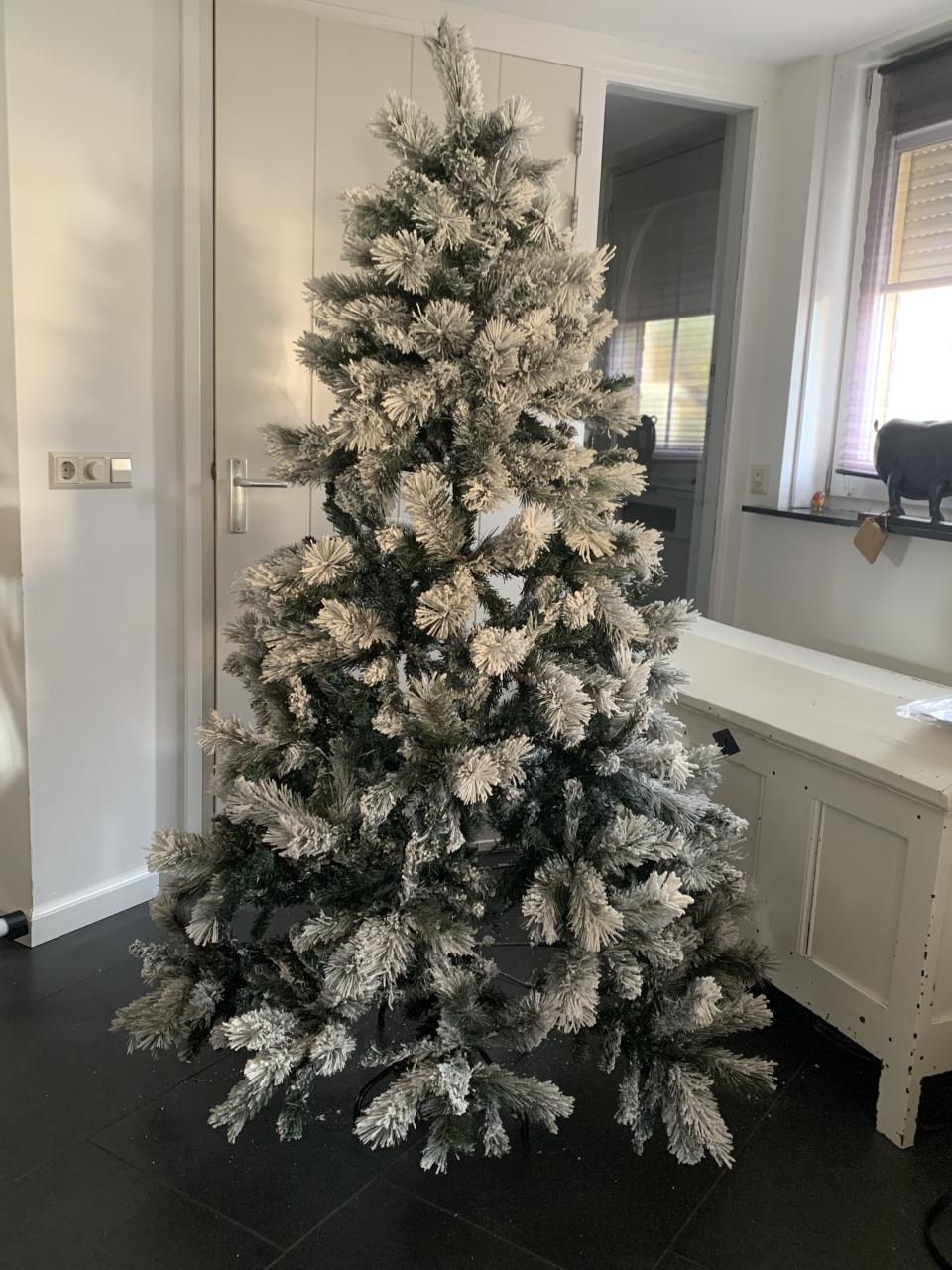 Kerstboom met sneeuw . Intratuin