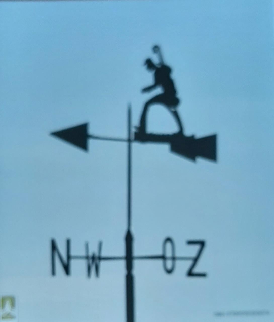 En over het duin de zee … 100 jaar Domburgsche Golflinks, 1914-2014