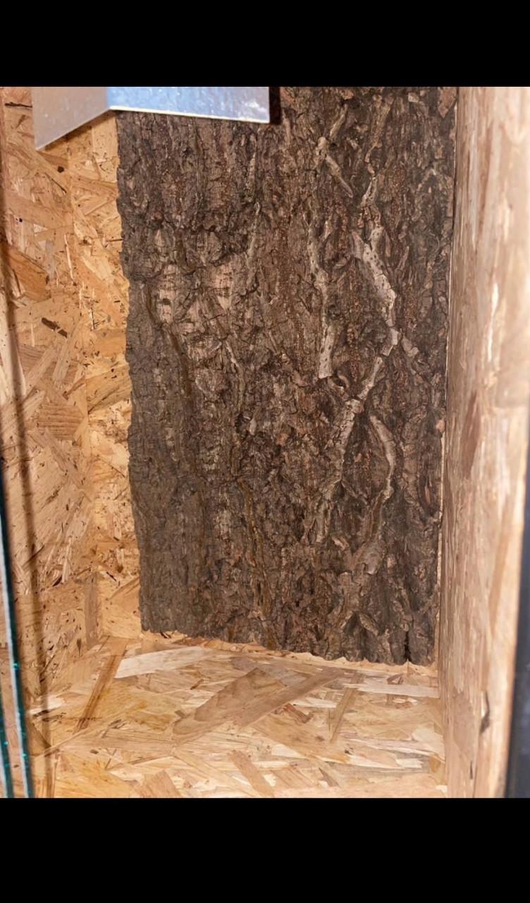 Terraruim osb met fitting