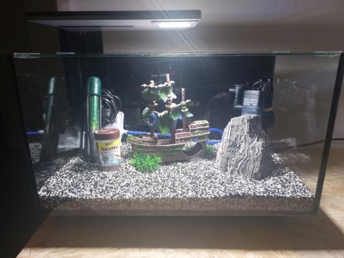 Superfisch quadro 40 nieuwstaat