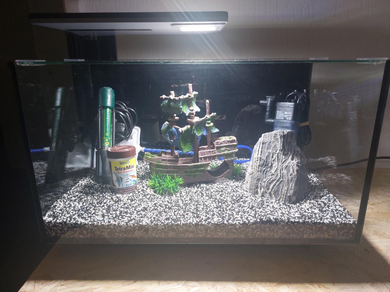 Superfisch quadro 40 nieuwstaat