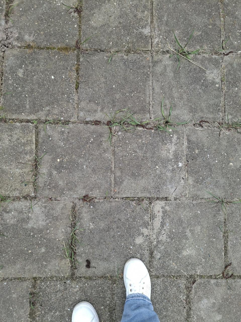 Stenen gratis af te halen in Kloetinge