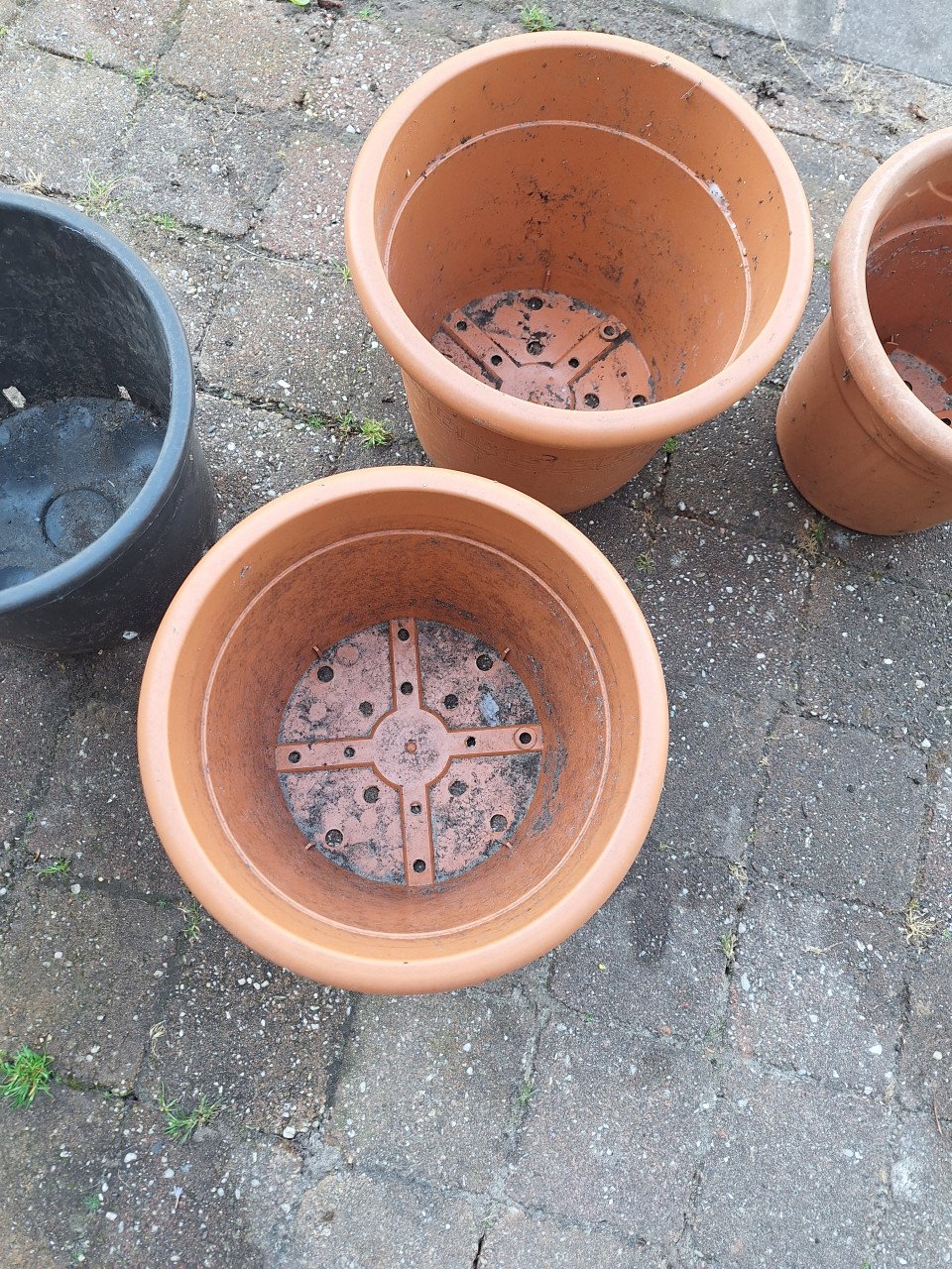 Bloempotten