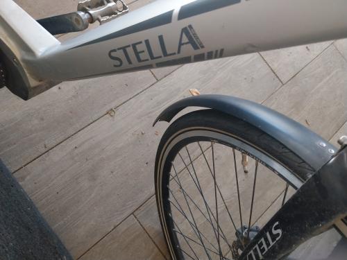Elektrische  damesfiets
