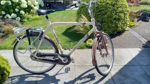 Hoge sparta 65 cm
