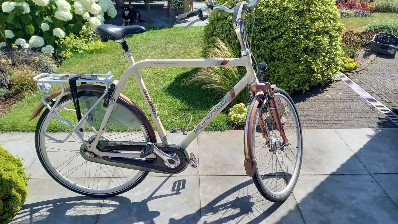 Hoge sparta 65 cm