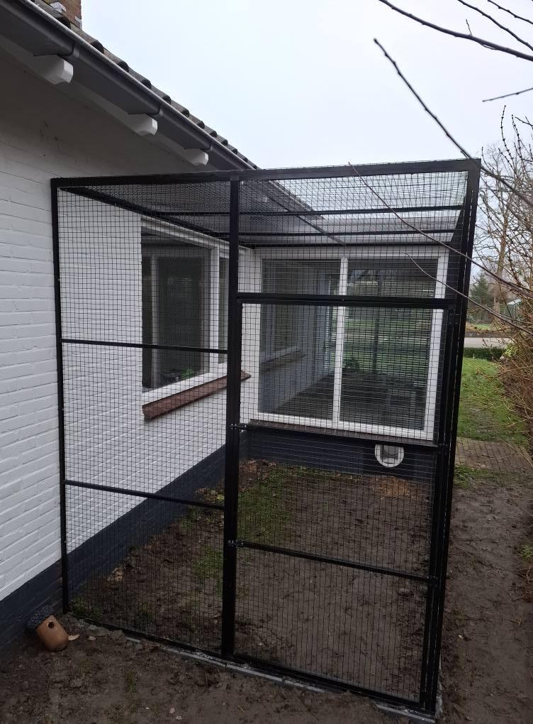 Kattenrennen/verblijven.........