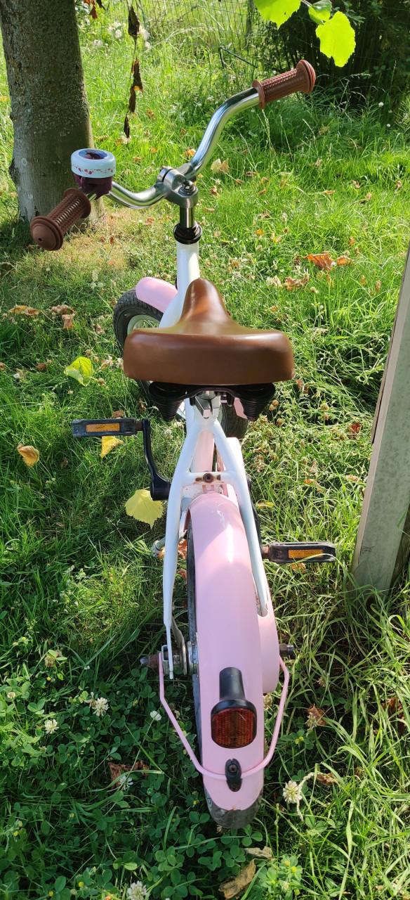 Fietsje 14 inch Popal