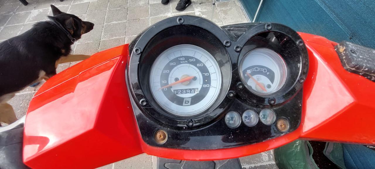 Nooit in de steek gelaten