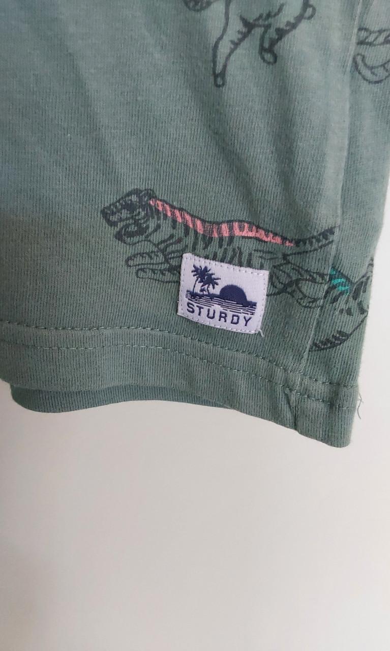 T-shirt van het merk Sturdy in maat 104