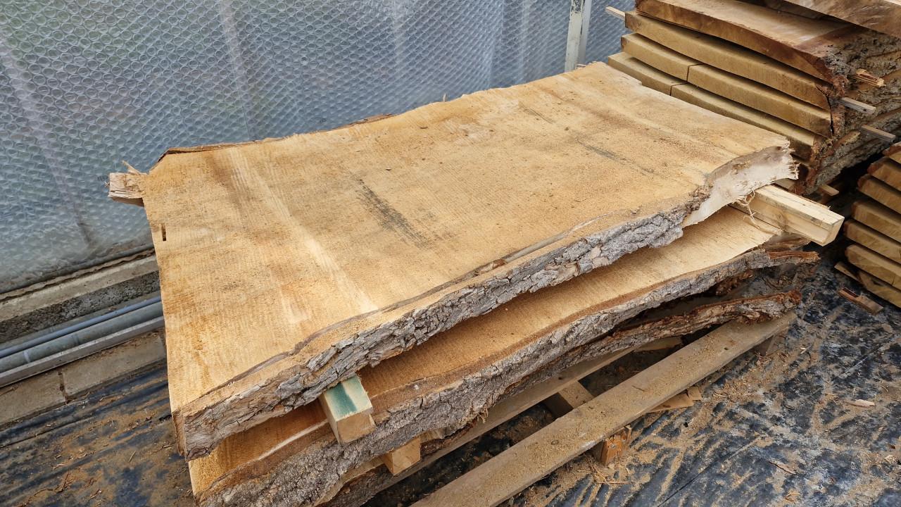 Boomstam schaaldelen leuk voor tafel, barblad of wandplank