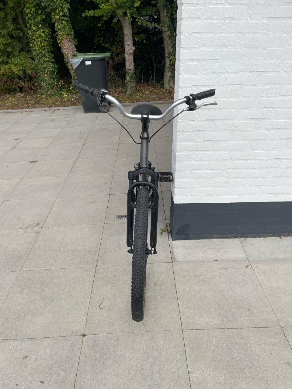 Beach cruiser.