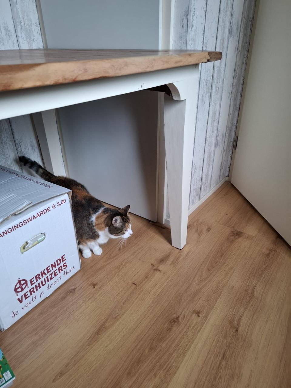 Teakhouten  Eettafel