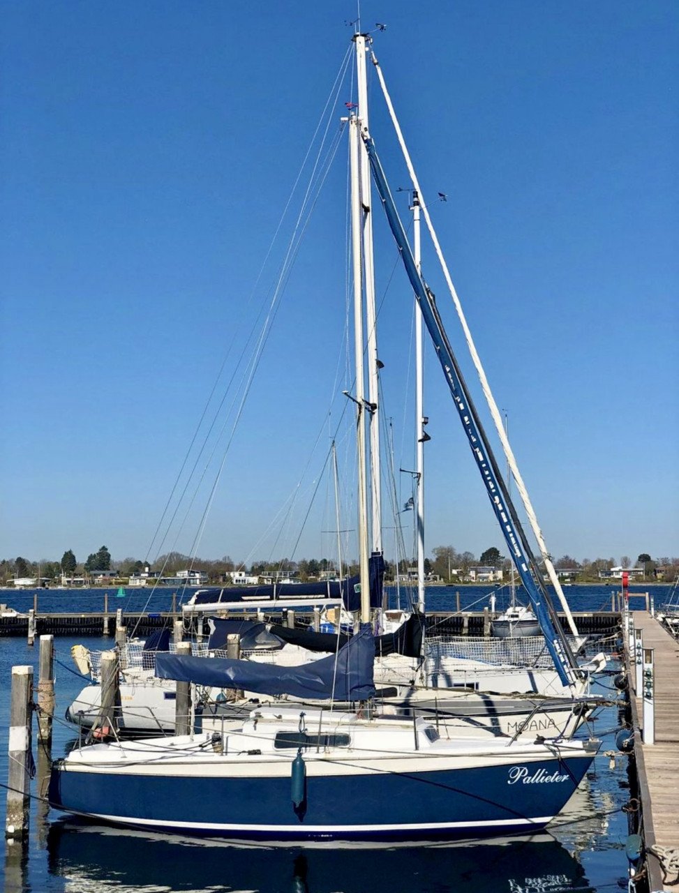 Kajuit zeilboot. Kievit 680 met zeilen inruil motor mogelijk