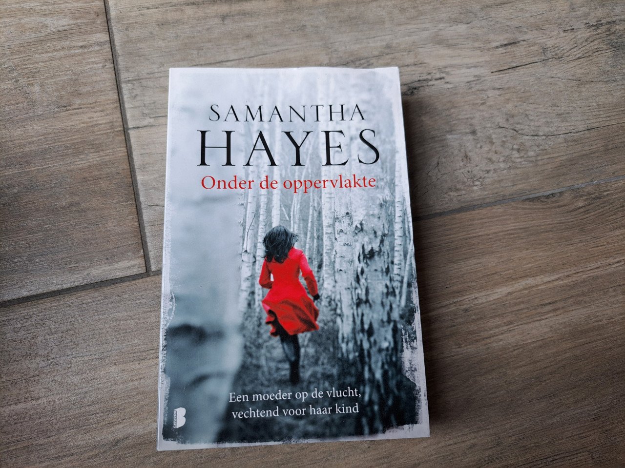 Thriller  Onder de oppervlakte van Samantha Hayes
