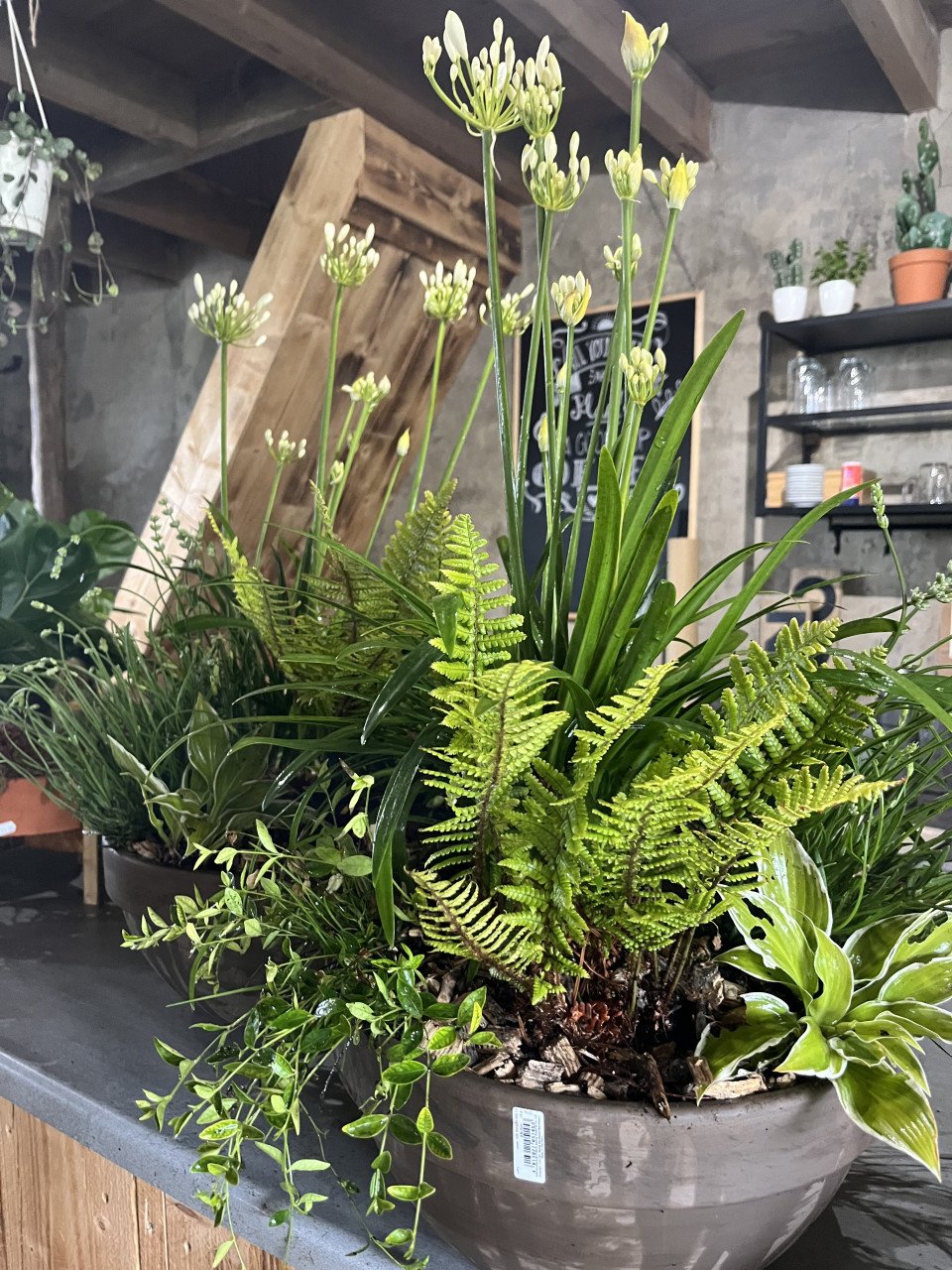 HEMELVAARTSDAG OPEN - PLANTEN EN MEER