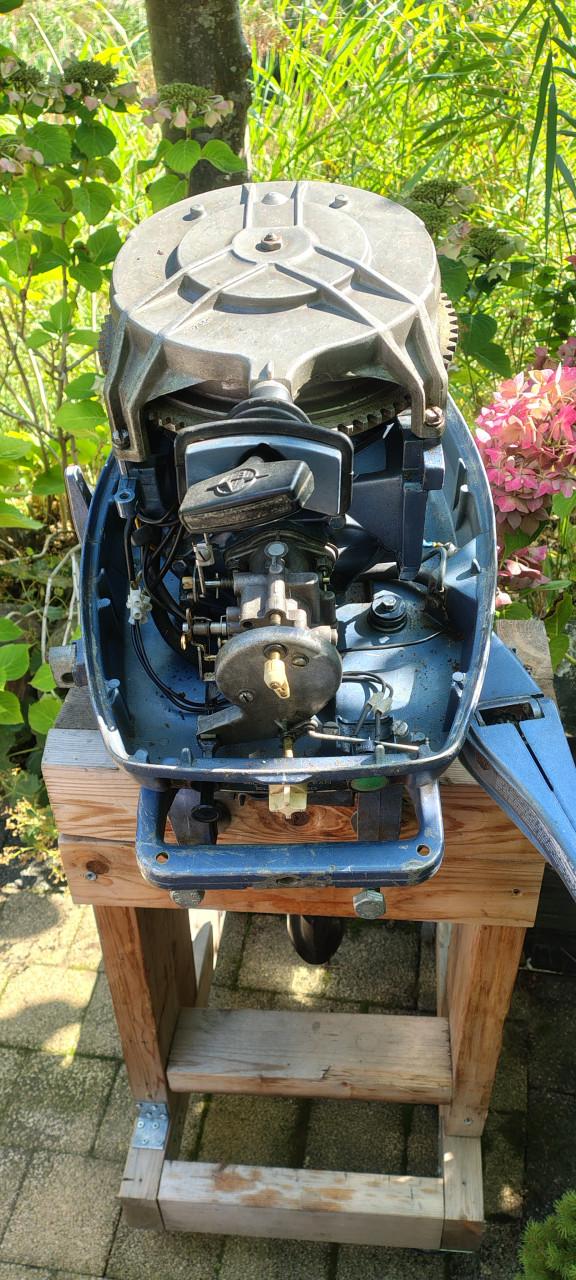 Evinrude 25 pk