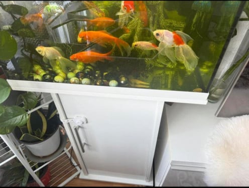 Aquarium kast in goede staat €45