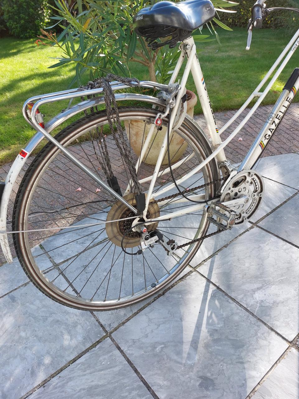 Electrische sportfiets en gratis fiets  mee te nemen.