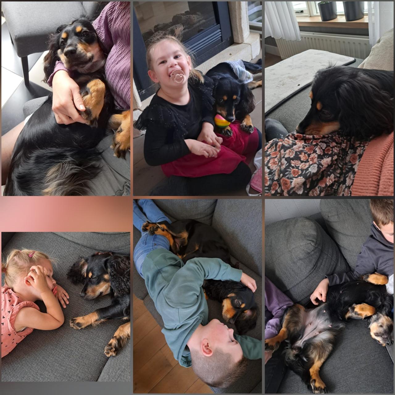 Luna zoekt een nieuw thuis