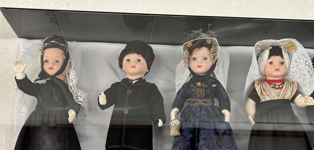 COLLECTIE BOERENPOPPEN