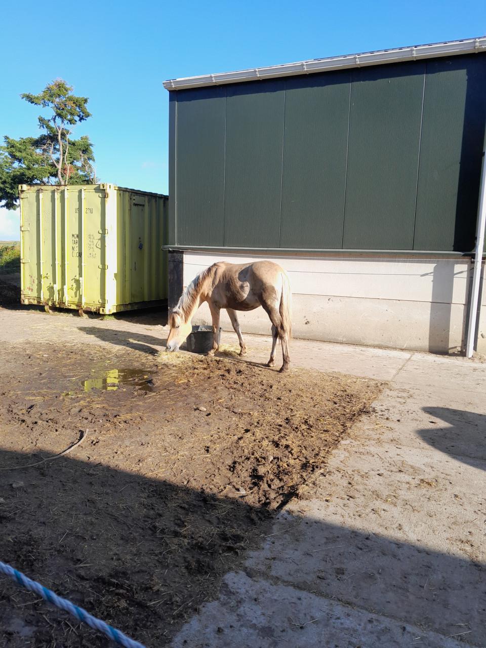 Fjorden ruin te koop