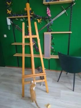 Schildersezel ((gereserveerd))