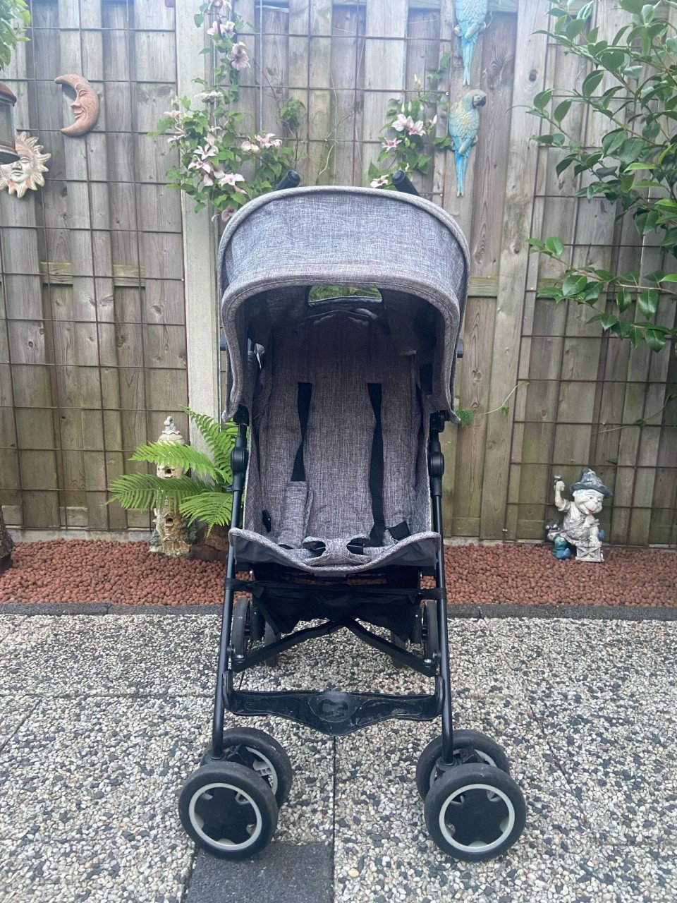 Te koop buggy