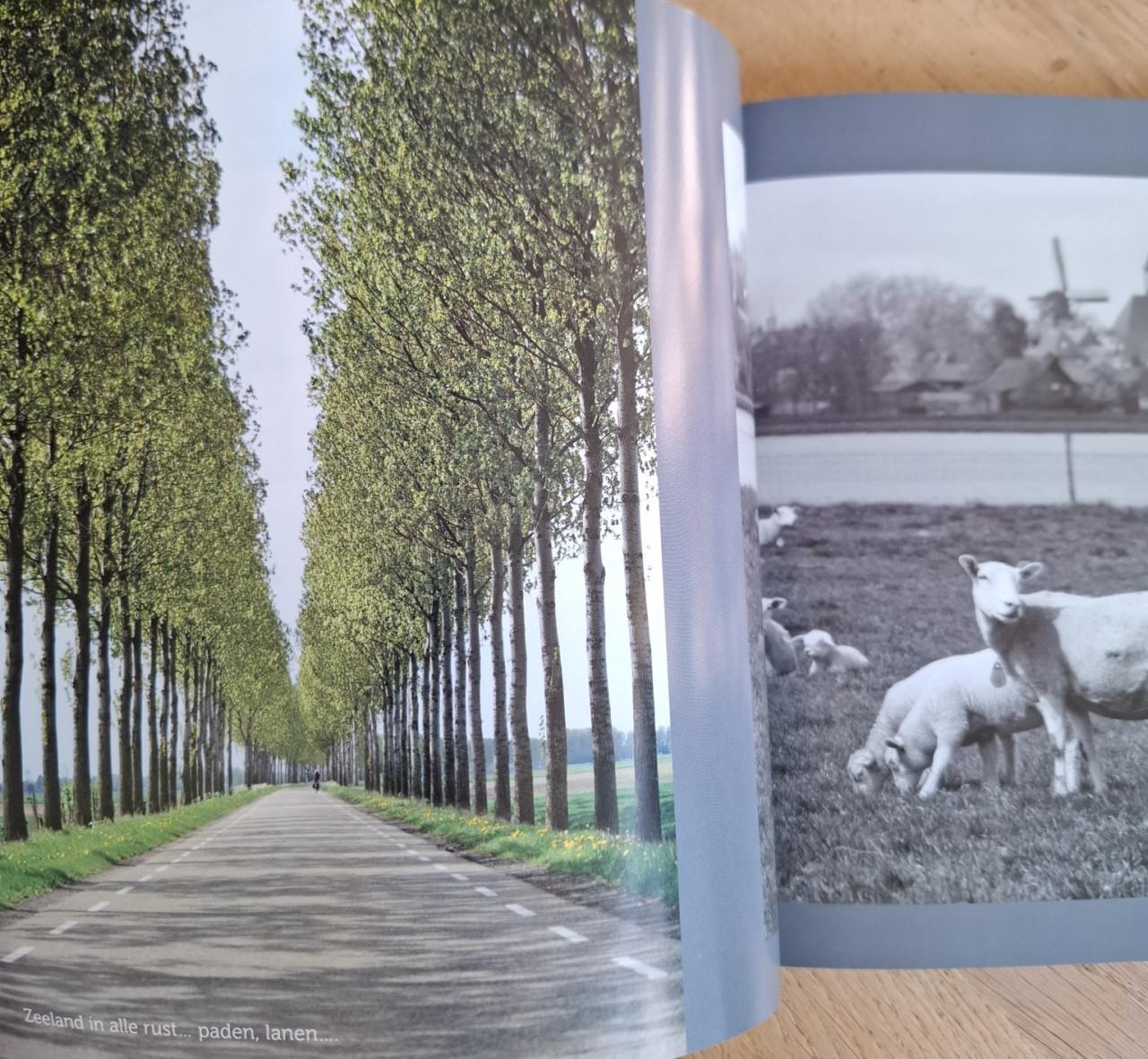Zeeuws venster - Een mooie herinnering, door Chris Platteeuw.