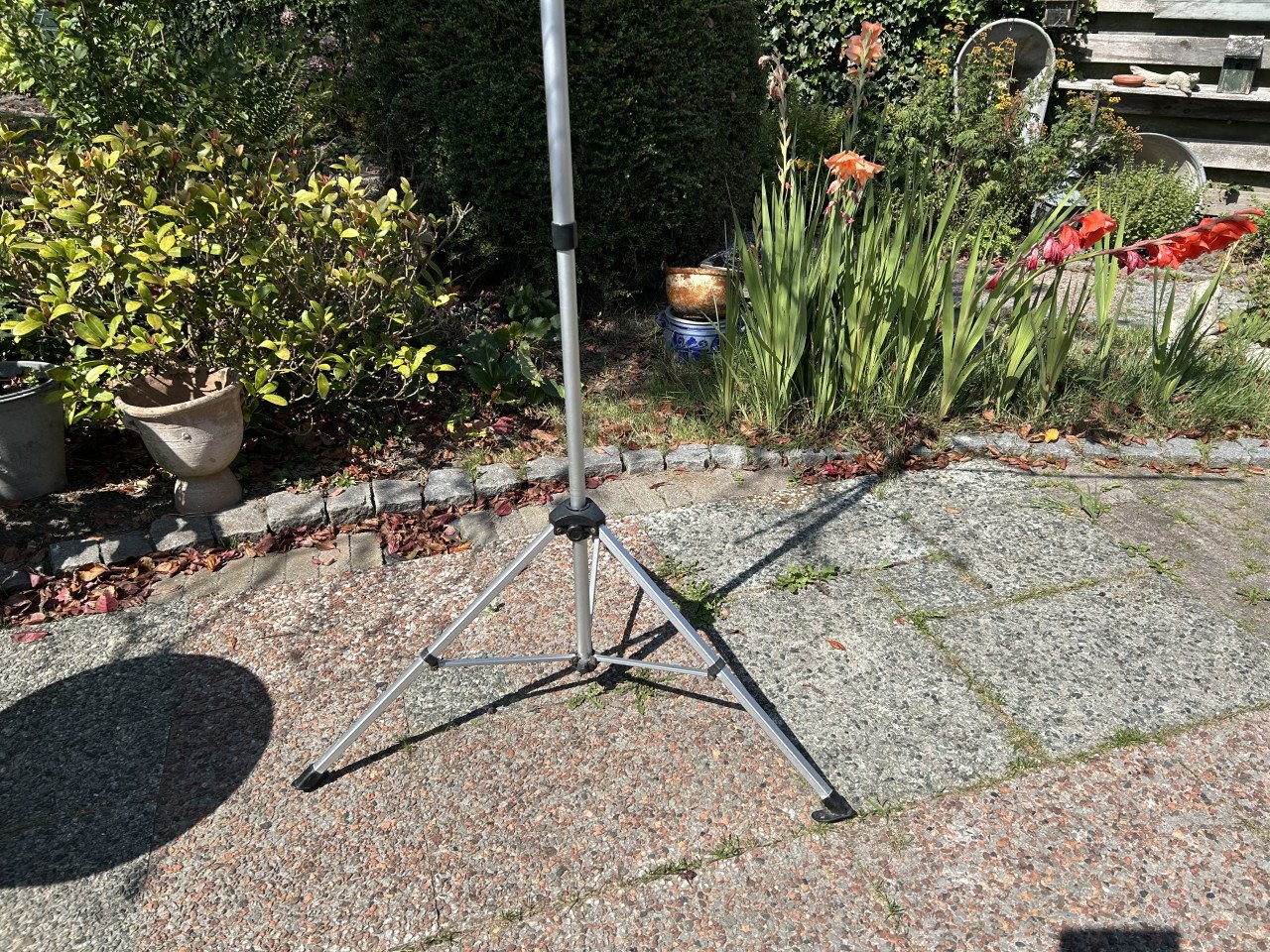 Bo-camp droogmolentje