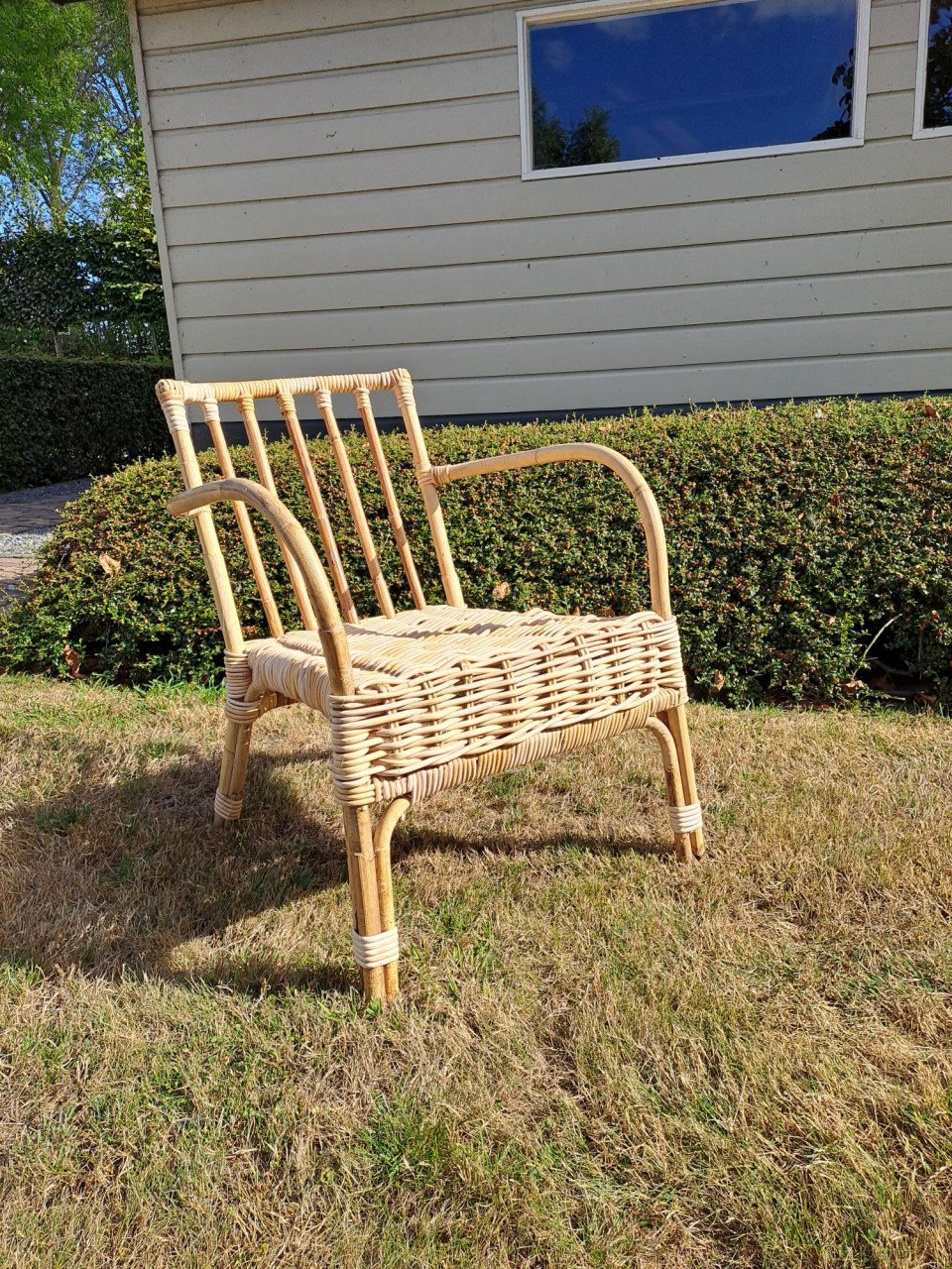 Rotan