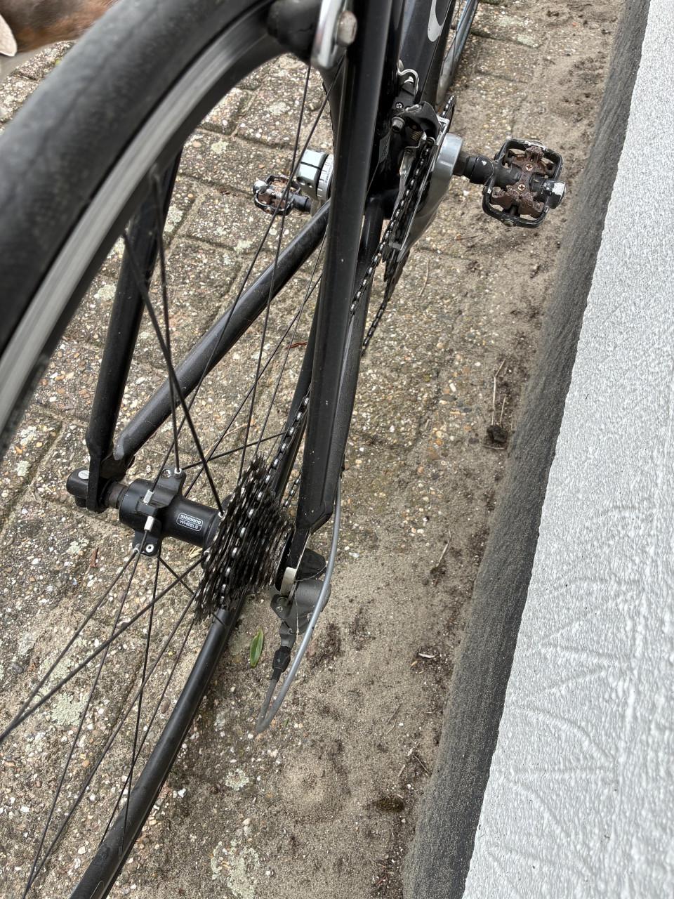 Gazelle Catena racefiets