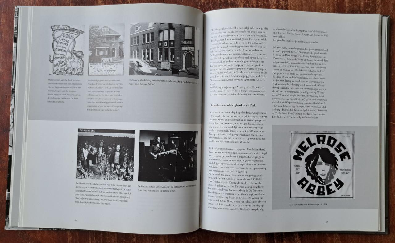 Brommers, gitaren en spandoeken